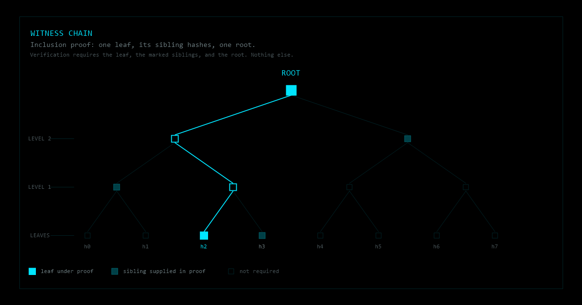 Merkle inclusion proof over an append-only witness chain: one leaf hash, the sibling hashes supplied alongside it, and the root they commit to.